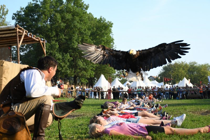 Koprivnica: Sokolari iz Slovačke najveća atrakcija zadnjeg dana Renesansnog festivala