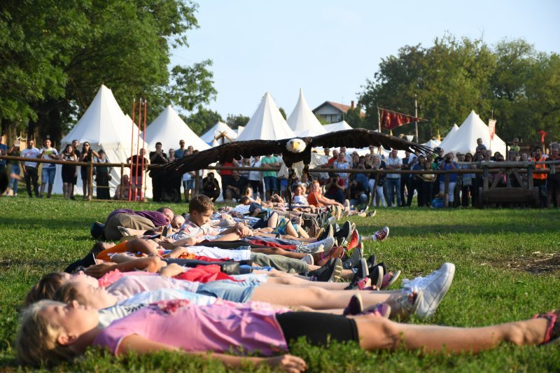 Koprivnica: Sokolari iz Slovačke najveća atrakcija zadnjeg dana Renesansnog festivala