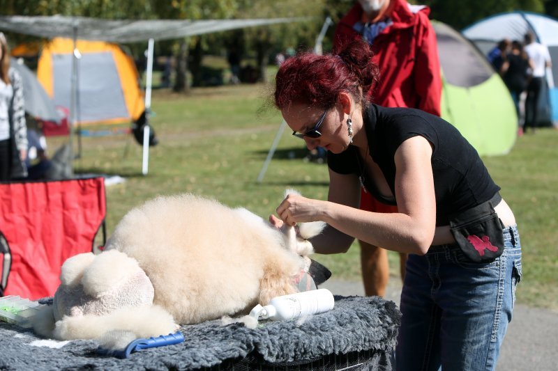 Karlovac: Lana Klingor Mihić na međunarodnoj izložbi pasa 4 Rivers Winner