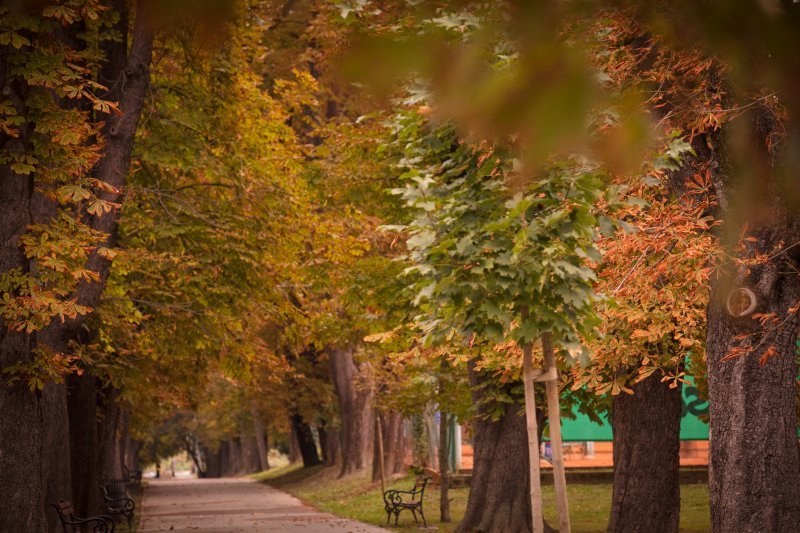 Prvi dan jeseni: osječki parkovi