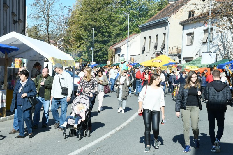 Tradicionalna 22. Kestenijada u Hrvatskoj Kostajnici