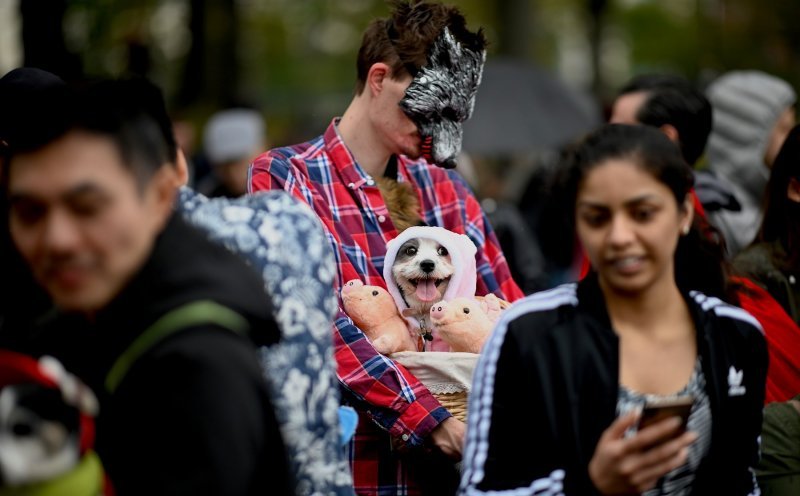 Pseća parada u New Yorku