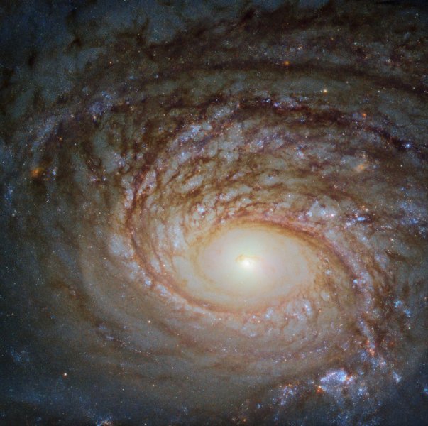 Bizarna spiralna galaksija