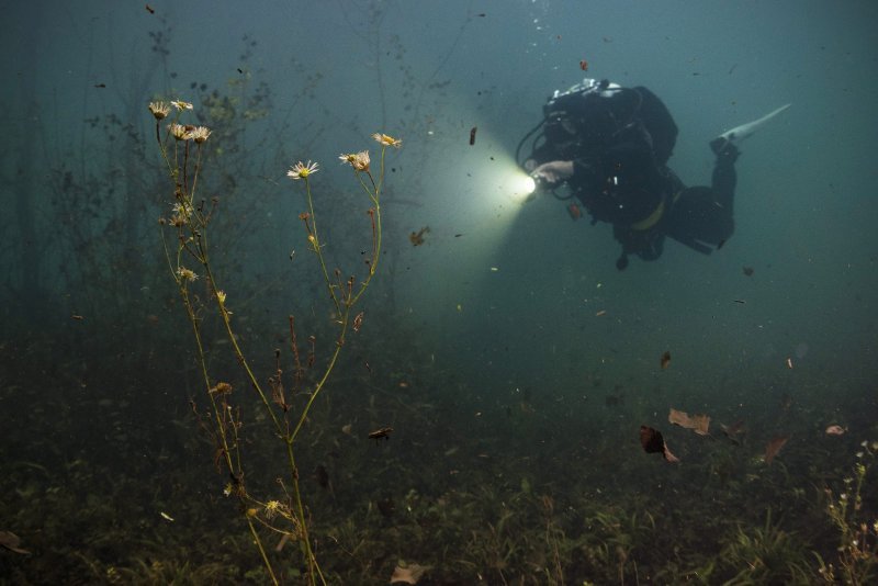 Zaron u jezero Ponikve