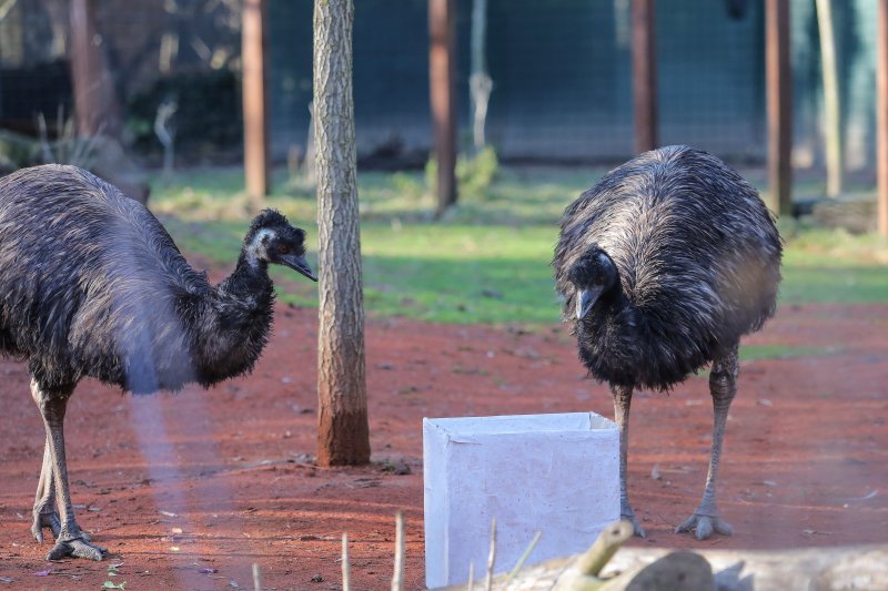 Pokloni za životinje u zoo vrtu u Zagrebu