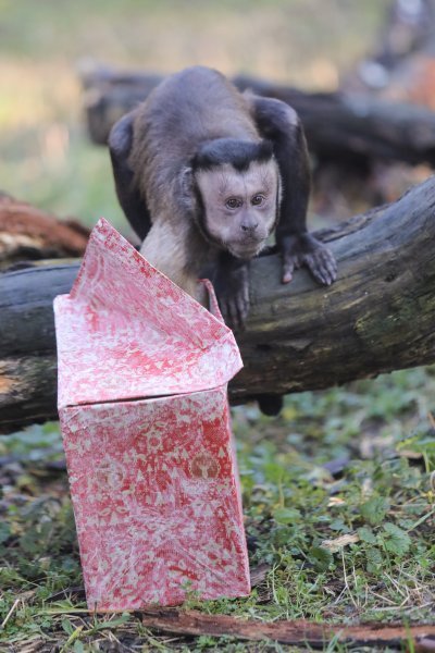 Pokloni za životinje u zoo vrtu u Zagrebu