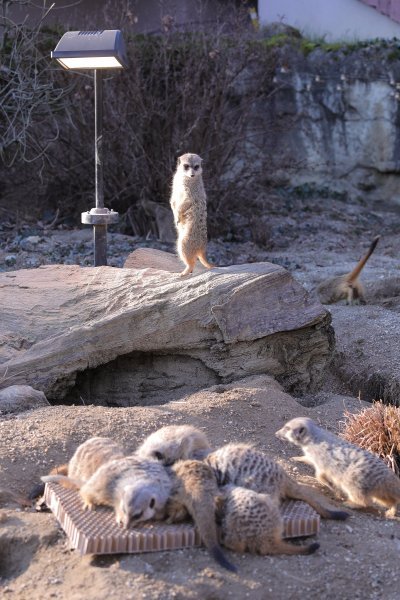 Pokloni za životinje u zoo vrtu u Zagrebu