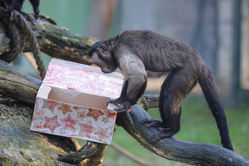 Pokloni za životinje u zoo vrtu u Zagrebu