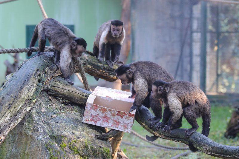 Pokloni za životinje u zoo vrtu u Zagrebu