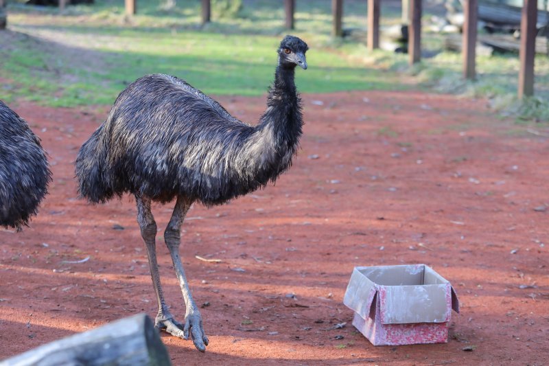 Pokloni za životinje u zoo vrtu u Zagrebu