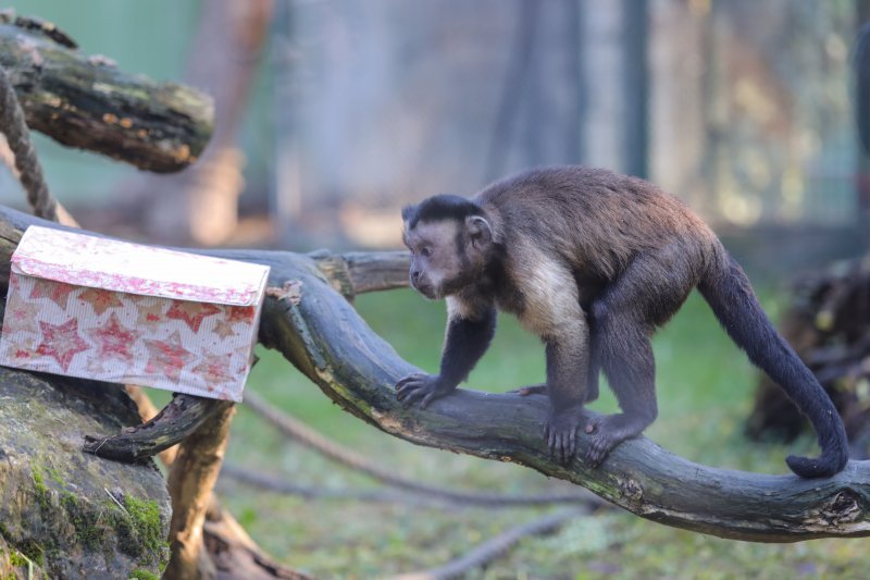 Pokloni za životinje u zoo vrtu u Zagrebu