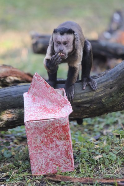 Pokloni za životinje u zoo vrtu u Zagrebu