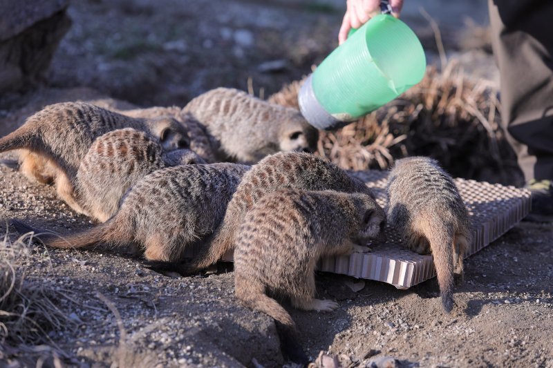 Pokloni za životinje u zoo vrtu u Zagrebu