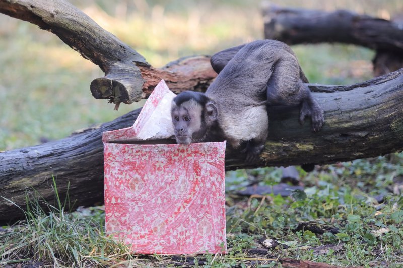 Pokloni za životinje u zoo vrtu u Zagrebu