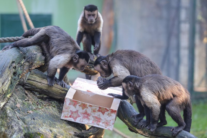 Pokloni za životinje u zoo vrtu u Zagrebu