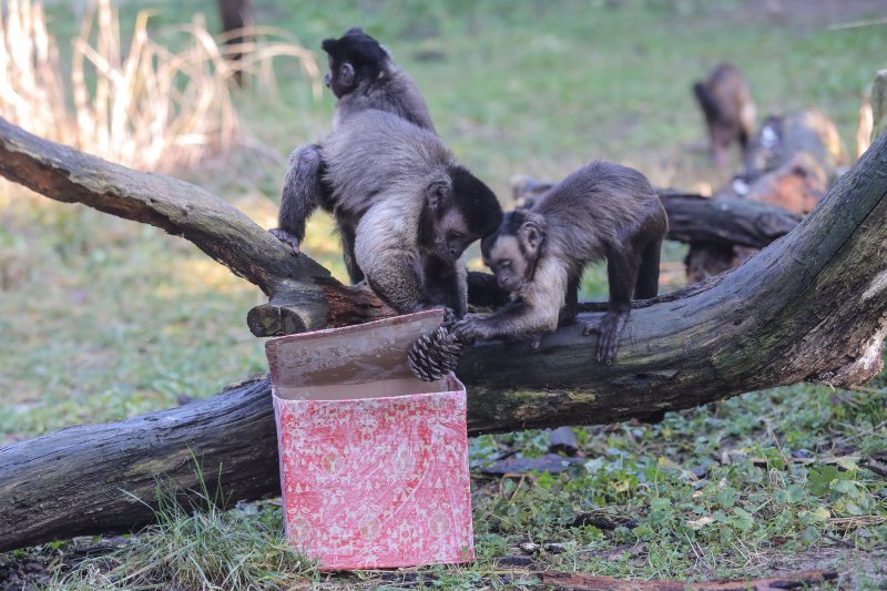 Pokloni za životinje u zoo vrtu u Zagrebu