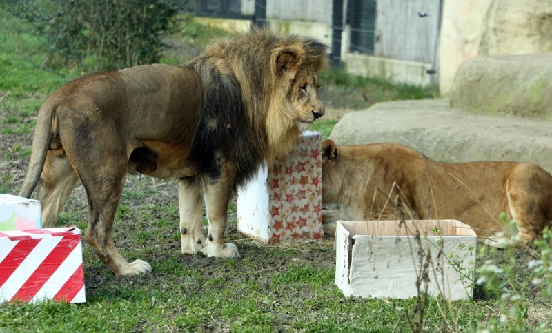 Pokloni stigli u Zoološki vrt Zagreb