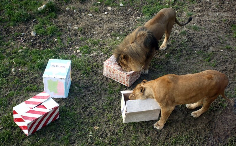 Pokloni stigli u Zoološki vrt Zagreb