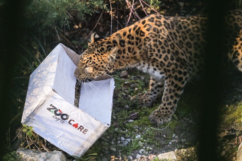 Pokloni u zoo vrtu u Zagrebu