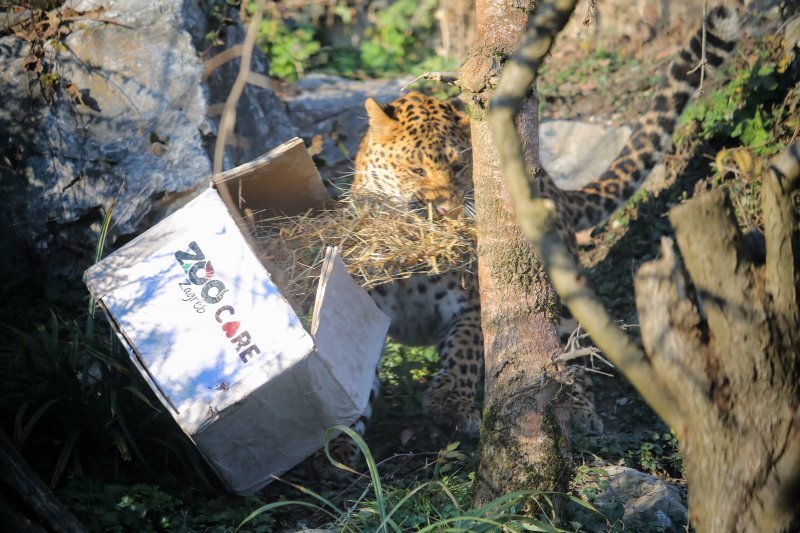 Pokloni u zoo vrtu u Zagrebu