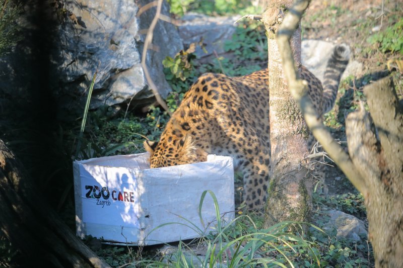 Pokloni u zoo vrtu u Zagrebu