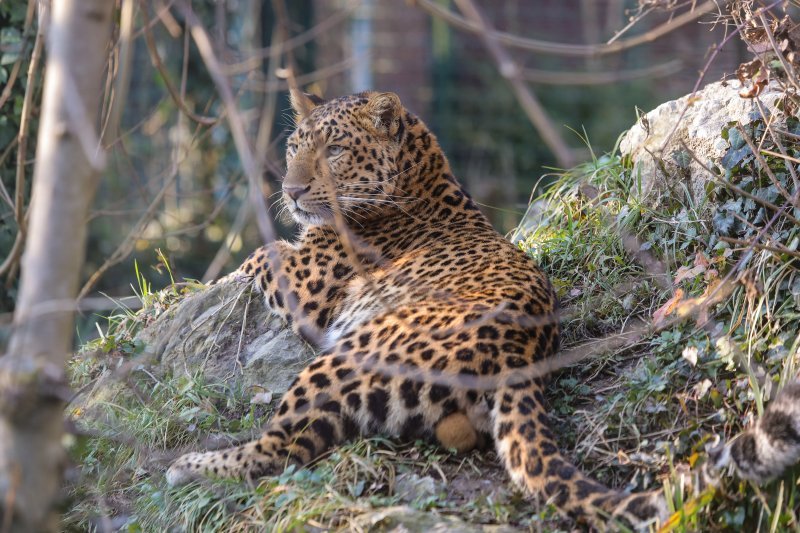 Pokloni u zoo vrtu u Zagrebu