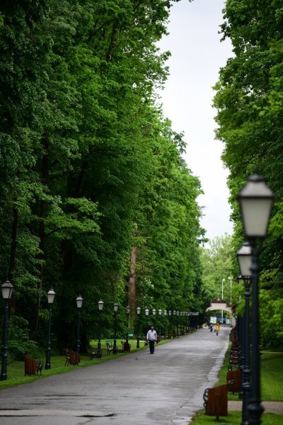 Zagreb: Maksimirska šuma prazna je na ovaj Praznik rada