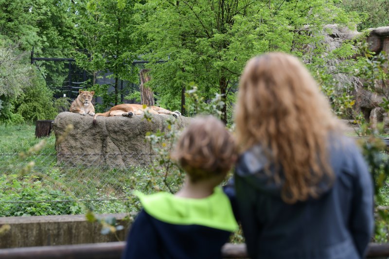 Zagreb: Za posjetitelje ponovno otvoren ZOO vrt