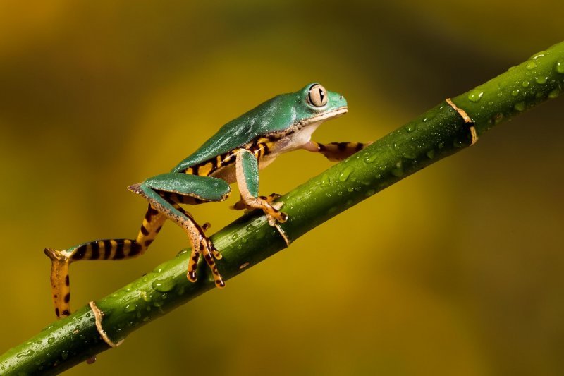 Pobjedničke amaterske fotografije