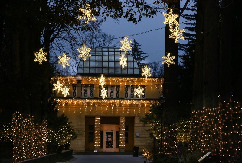 Zagrebački ZOO vrt okićen s nekoliko tisuća lampica