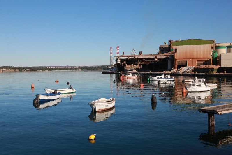 Pula: Kupanje u moru usred prosinca