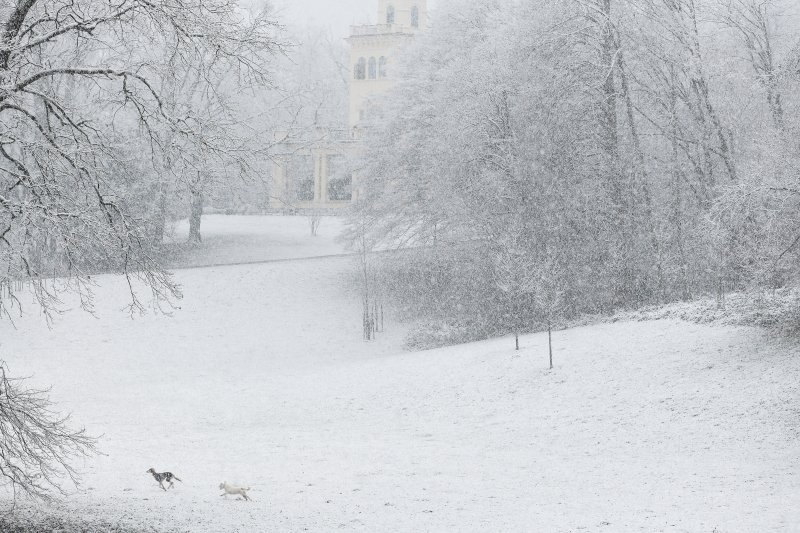 Prvi ovogodišnji snijeg zabijelio je Maksimir