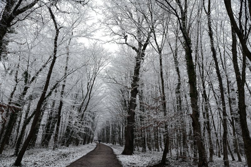 Prvi ovogodišnji snijeg zabijelio je Maksimir