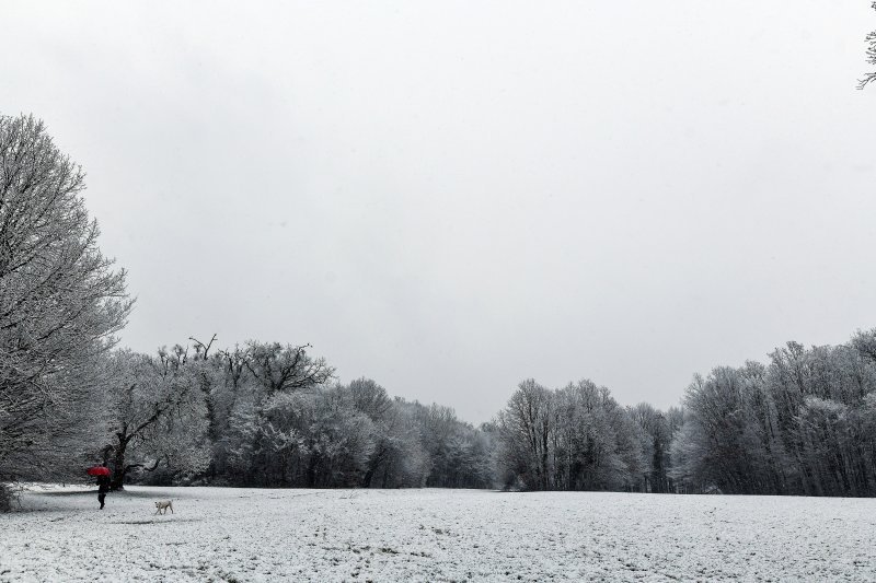 Prvi ovogodišnji snijeg zabijelio je Maksimir