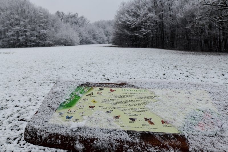 Prvi ovogodišnji snijeg zabijelio je Maksimir