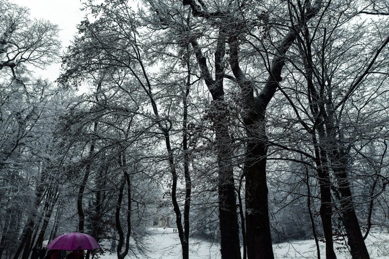 Prvi ovogodišnji snijeg zabijelio je Maksimir