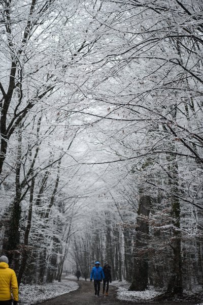 Prvi ovogodišnji snijeg zabijelio je Maksimir