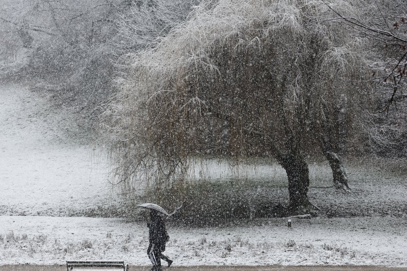 Prvi ovogodišnji snijeg zabijelio je Maksimir