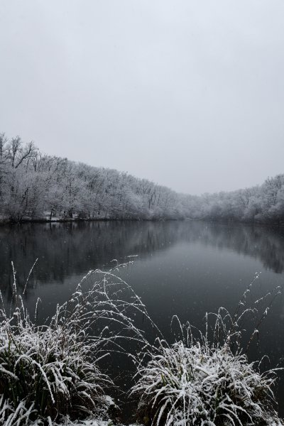 Prvi ovogodišnji snijeg zabijelio je Maksimir