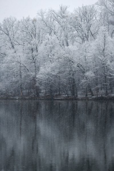 Prvi ovogodišnji snijeg zabijelio je Maksimir