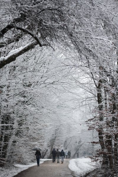 Prvi ovogodišnji snijeg zabijelio je Maksimir