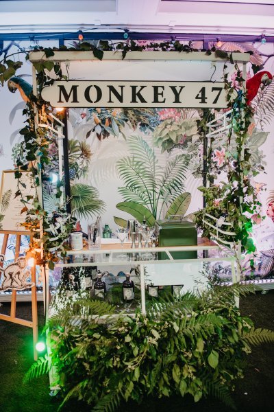 Funky Monkey Jungle Tour