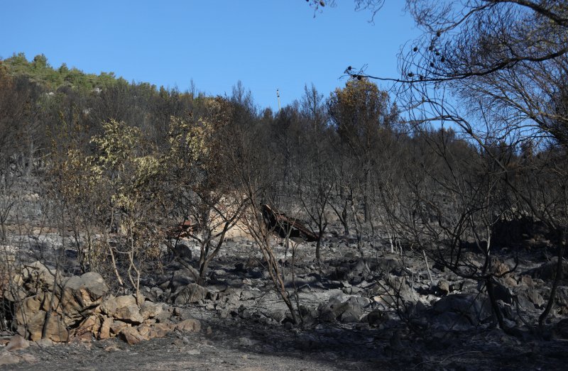 Posljedice požara na području Raslina