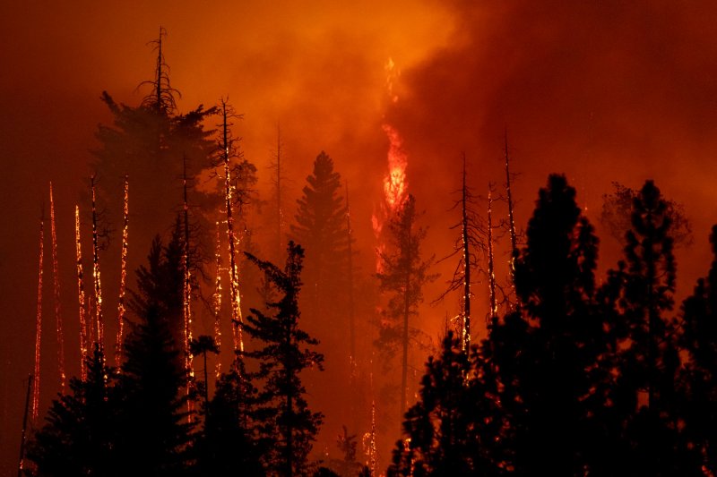 'Oak fire' u Kaliforniji