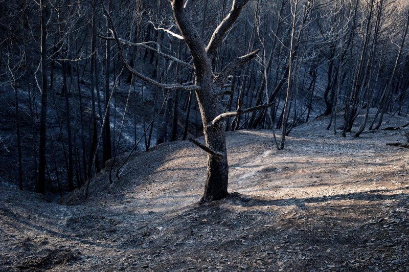 Posljedice požara u Francuskoj