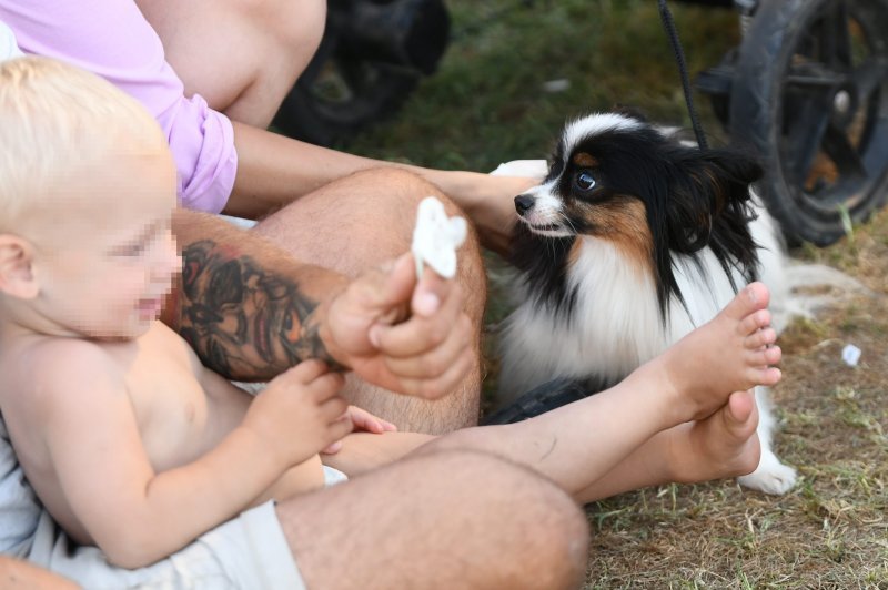 Ljetna noćna izložba pasa u Parku mladeži u Splitu