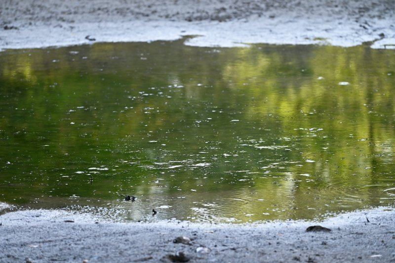 Isušeno jezero Bundek