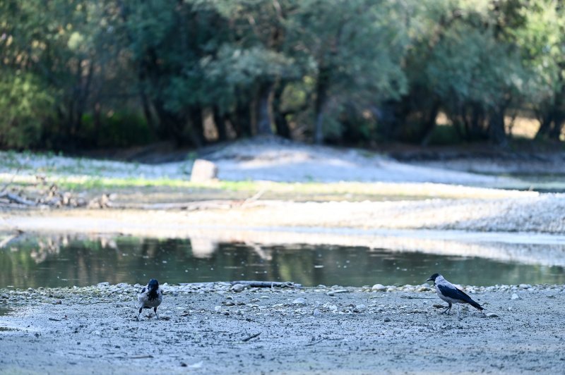 Isušeno jezero Bundek