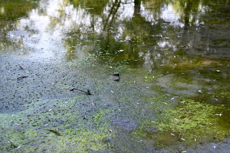 Isušeno jezero Bundek