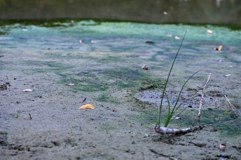 Isušeno jezero Bundek